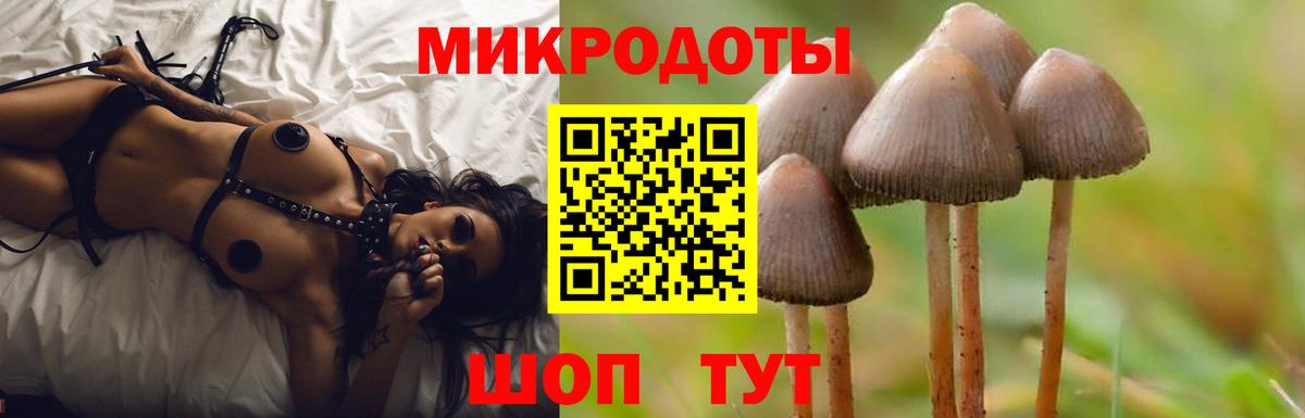 Псилоцибиновые грибы Psilocybine cubensis  Вход с VPN  Гуково 