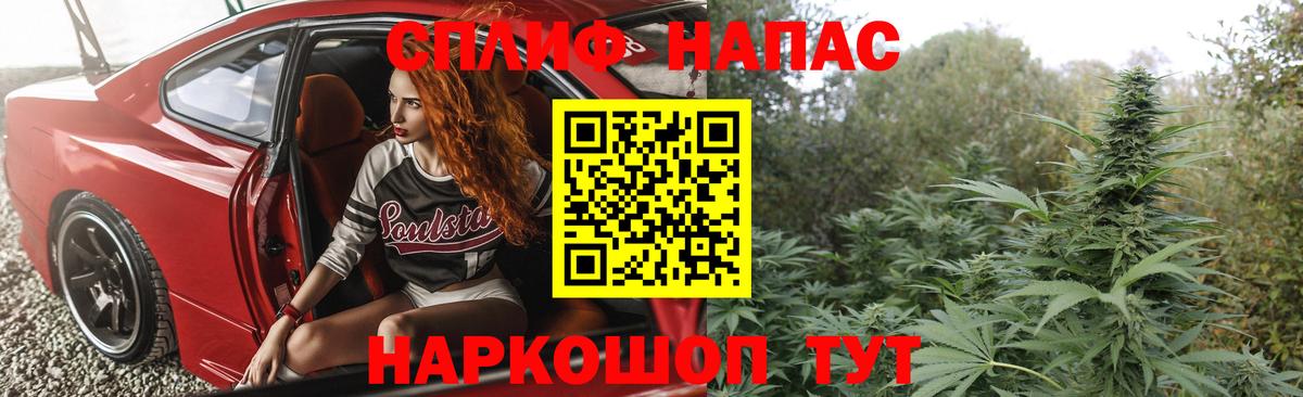 Каннабис SATIVA & INDICA Гуково